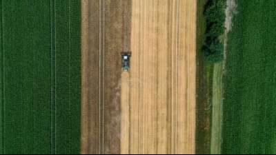 Kartoffelernte f&auml;llt 2021 geringer aus als im Vorjahr