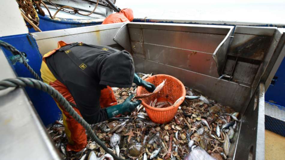 EU-Minister legen wegen Brexit-Unsicherheit vorläufige Fischquoten für 2021 fest