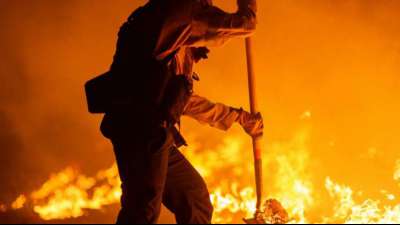 Trump reist am Montag ins kalifornische Waldbrandgebiet