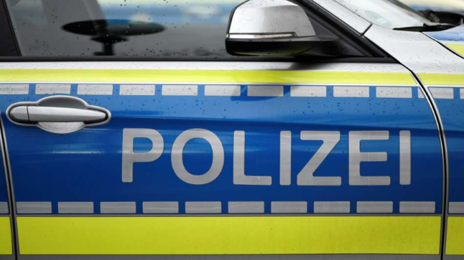 Neuruppin: Brandenburger Pferde knabbern Streifenwagen an
