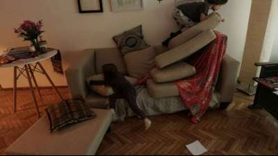 Wachstum auf Home-Video-Markt kann Einbruch bei Kinoausgaben nicht abfedern