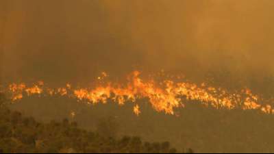 Mehr als 70 Häuser nahe Perth durch Waldbrand zerstört 
