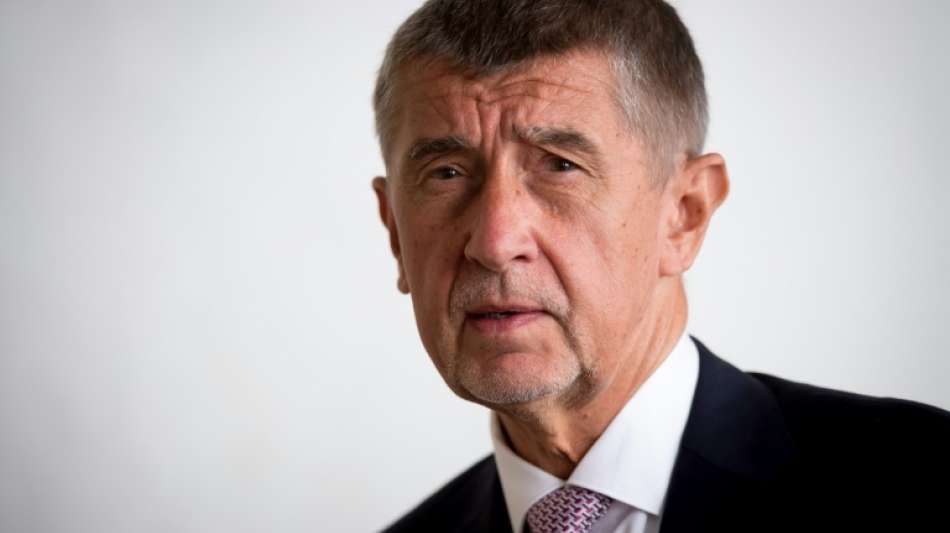 Tschechischer Regierungschef Babis übersteht Misstrauensvotum