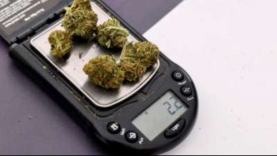 Drogenbeauftragte fordert bundeseinheitliche Sechs-Gramm-Obergrenze f&uuml;r Cannabis
