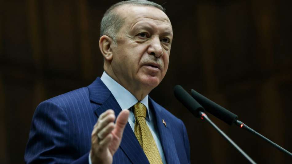 Erdogan bekommt Rückhalt für seine Pläne für neue Verfassung von Ultrarechten