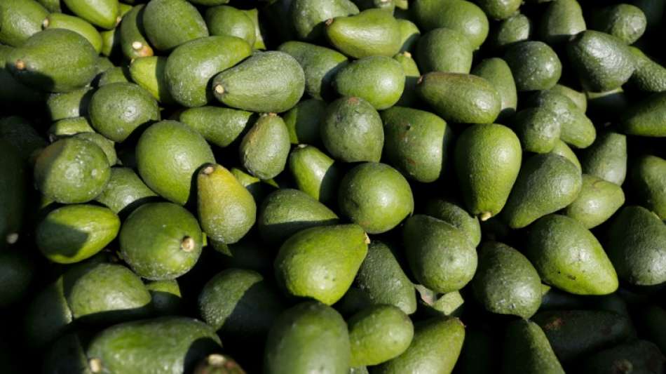 Superfood oftmals weniger super als angenommen