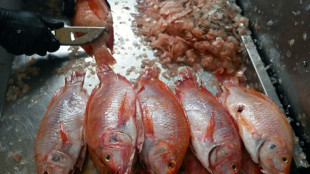 Principais pontos do novo acordo da OMC sobre pesca