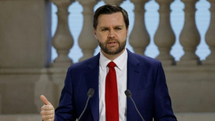 Vance-&Auml;u&szlig;erungen zur AfD: Bundesregierung spricht von Einmischung in Wahlkampf