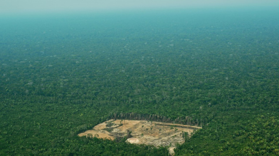 Brazil deforestation shatters April record