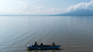 Au Mexique, indig&egrave;nes et scientifiques au chevet d'un fascinant amphibien