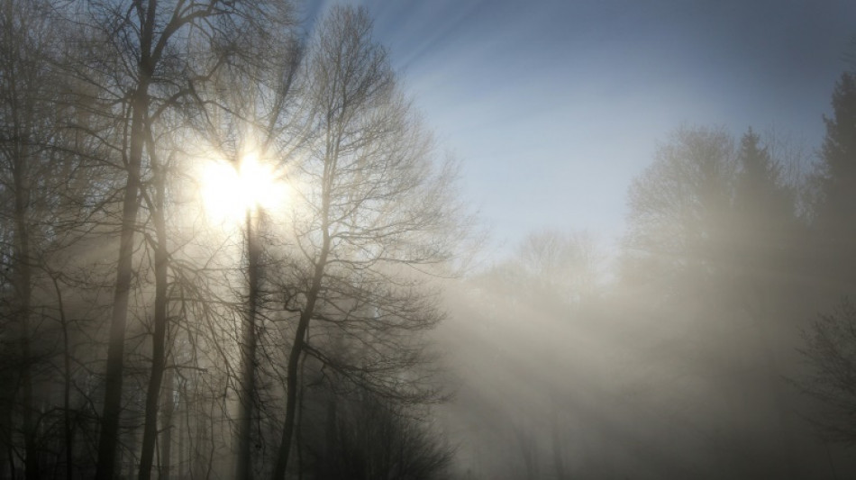 Wetterdienst: Drei zu trockene Jahre haben W&auml;lder fl&auml;chendeckend gesch&auml;digt