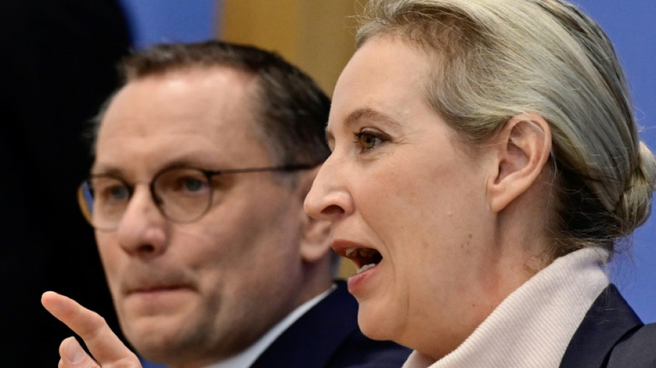 "Normalit&auml;t im Bundestag": Weidel erhebt Anspruch ihrer Partei auf wichtige Posten