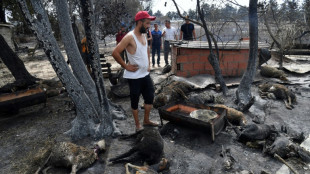 Alle Waldbrände in Algerien laut Zivilschutz unter Kontrolle 