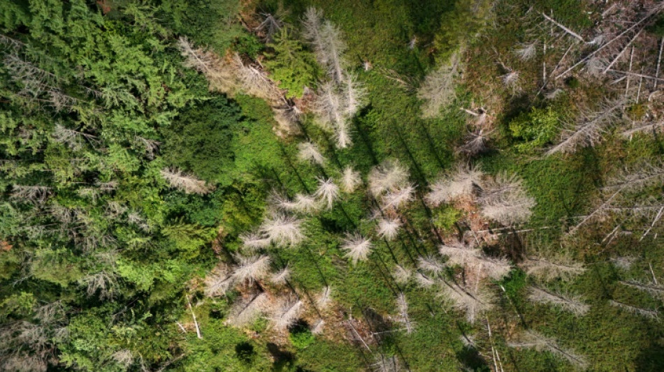 Sécheresse record pour un début août en Europe et sur le pourtour méditerranéen