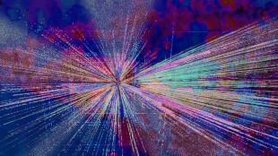 Al via il primo campo estivo dedicato a fisica e cosmologia