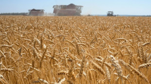 Agrarminister können sich nicht auf Getreideanbau auf Ökoflächen einigen 