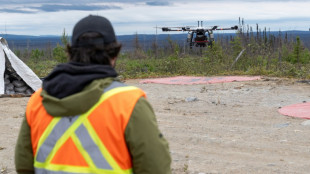 Canad&aacute; recurre a los drones para reforestar bosques arrasados por incendios