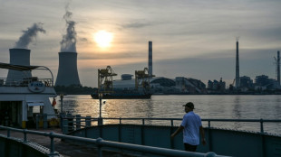 La AIE urge a los países ricos y a China a acelerar calendario de neutralidad carbono