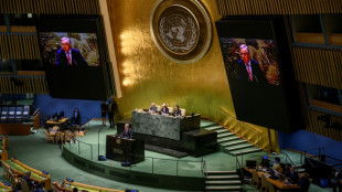 "Historisches" UN-Hochsee-Schutzabkommen formell beschlossen