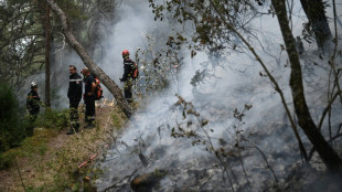 Tausende Menschen vor neuem Waldbrand in Südfrankreich in Sicherheit gebracht
