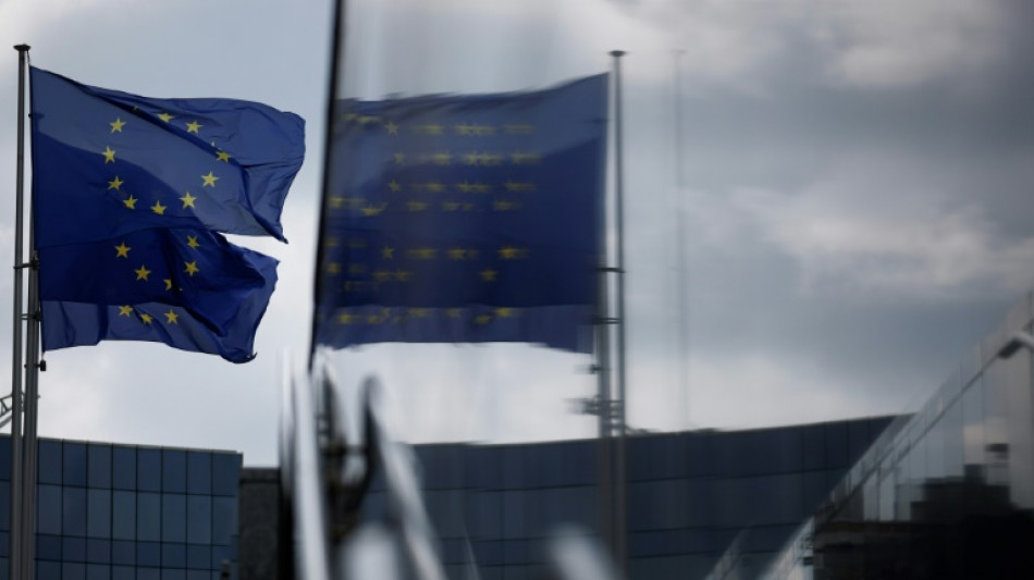 El mayor partido pol&iacute;tico de la UE pide flexibilizar la meta sobre el fin de los autom&oacute;viles con motor de combusti&oacute;n interna