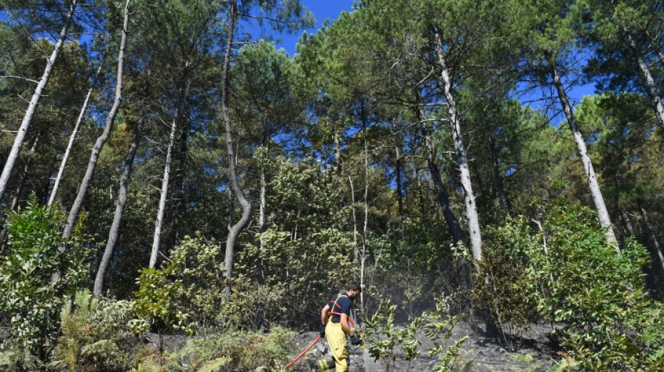 L'incendie des C&eacute;vennes ma&icirc;tris&eacute;, maintien d'un dispositif de surveillance all&eacute;g&eacute;
