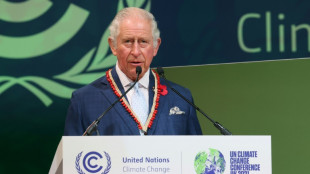 Britischer König Charles III. reist zur UN-Klimakonferenz nach Dubai