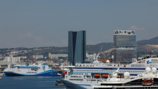 Umweltschützer in Paddelbooten behindern Einfahrt von Kreuzfahrtschiff in Marseille