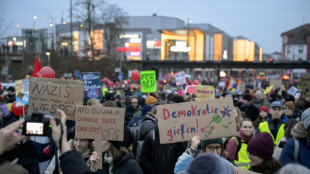 Des manifestations obligent l'extrême droite allemande à retarder son congrès