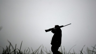 L'interdiction de la chasse &agrave; la tourterelle des bois prolong&eacute;e d'un an