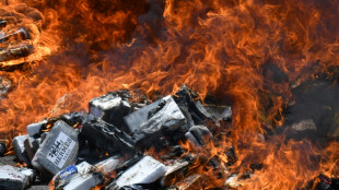 Honduras incinera toneladas de coca&iacute;na apreendidas no Mar do Caribe