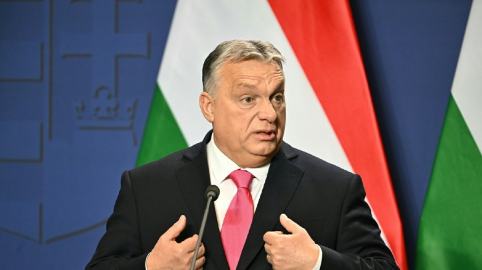 Orban: Ein "&Uuml;bel nagt an westlichen Demokratien"