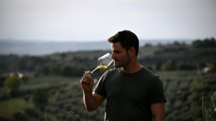 Mudança climática afeta produção de azeite de oliva italiano