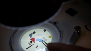 Los micropl&aacute;sticos, una amenaza omnipresente para la salud humana