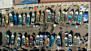 Chile fracassa em sua tentativa de recuperar a popular merluza