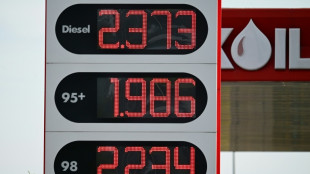 G7 geben bis zu 100 Millionen Barrel Roh&ouml;l und Diesel frei - &Ouml;lpreise fallen