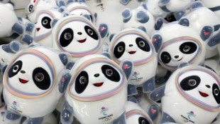 Prisión firme en China por falsificaciones de la mascota oficial de Pekín-2022