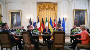 Putin e Zelensky indicam que est&atilde;o prontos para se reunir, ap&oacute;s conversas com Trump