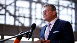 L'UE "pleinement investie" dans les n&eacute;gociations avec Trump apr&egrave;s les rebondissements judiciaires