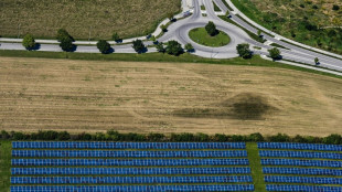 Regierung will mehr Photovoltaik-Anlagen auf Ackerflächen 