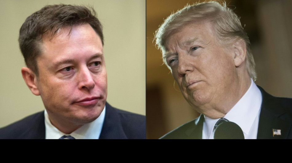 Elon Musk dice que quiere levantar el veto a Trump en Twitter