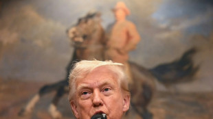 Clock ticks on US tariff hikes as Trump broadens blitz