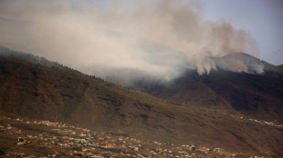 Incendie &agrave; Tenerife: &eacute;volution "favorable" apr&egrave;s trois jours de bataille