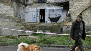 Onlineverkauf von Banksy-Drucken zugunsten der Ukraine wird Ziel von Cyberangriff