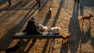 Bundesgerichtshof: Hundehalter muss nach Unfall mit Schleppleine wom&ouml;glich haften