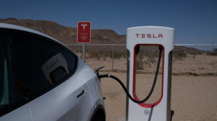 Bericht: Kalifornische Fahrzeugbehörde verklagt Elektroautobauer Tesla