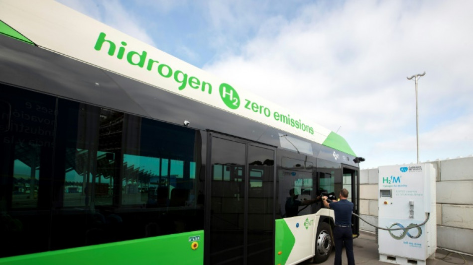 Urteil: Gewaltt&auml;tiger Busfahrer in Niedersachsen durfte fristlos entlassen werden