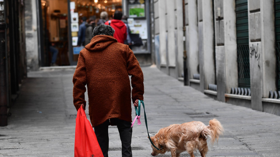 Istat, famiglie sempre pi&ugrave; piccole, &egrave; solo 36,5% italiani