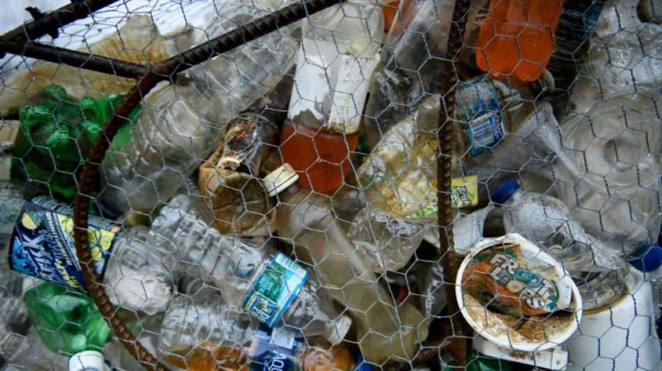 Greenpeace-Studie: Recycling von Plastik ist ein "Mythos"