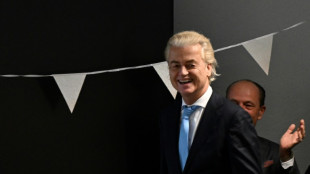 Wilders' win sets 'textbook' example for European populist right: analysts